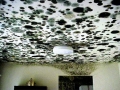 cleanairxperts-12