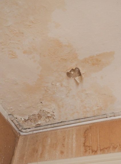 Damage caused by damp and moisture on a ceiling