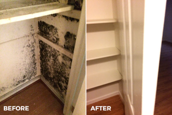 before-after-mold-clean-air-xperts-boca-raton-fl