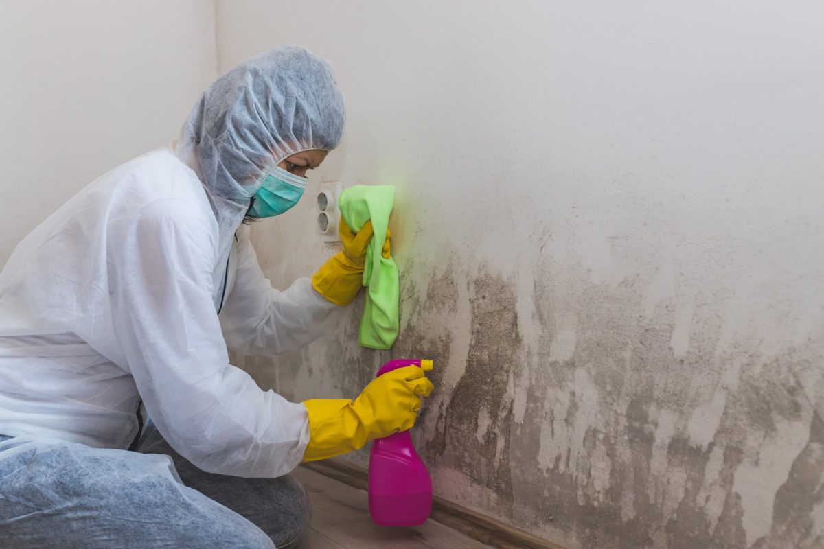 Hazmat worker cleaning mold off an interior wall.
