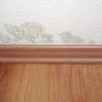 Water damage and possible mold growth near the baseboards.